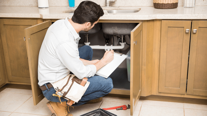Inspection and repari
