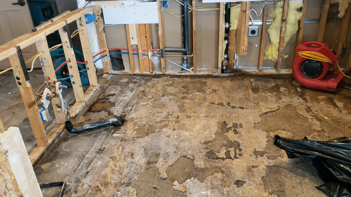 Water Restoration