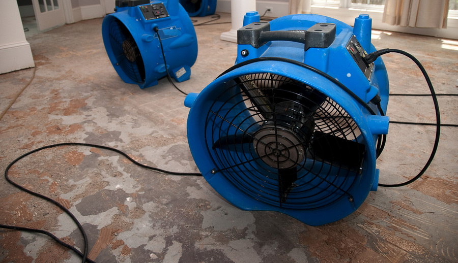 Water Damage Restoration in Lahaina